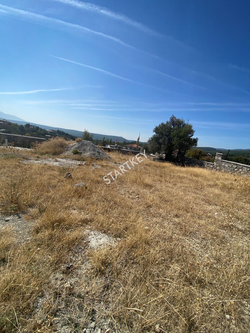 Property-photo