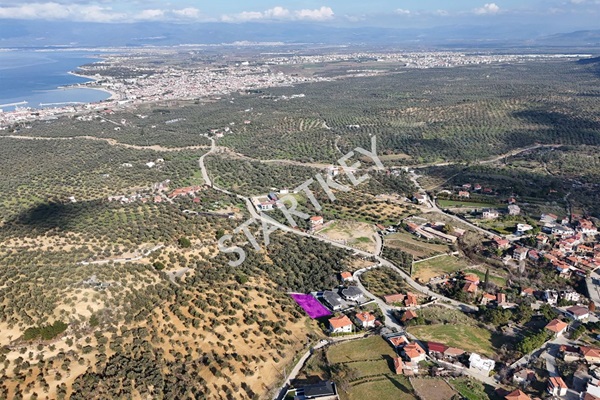 Property-photo