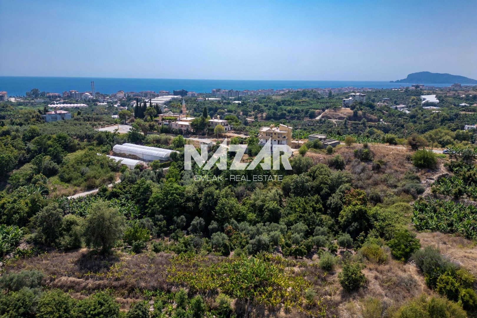 Property-photo