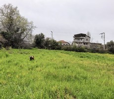 Muğla Seydikemerde köy içi imarlı satılık tarla
