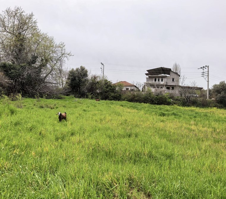 Muğla Seydikemerde köy içi imarlı satılık tarla
