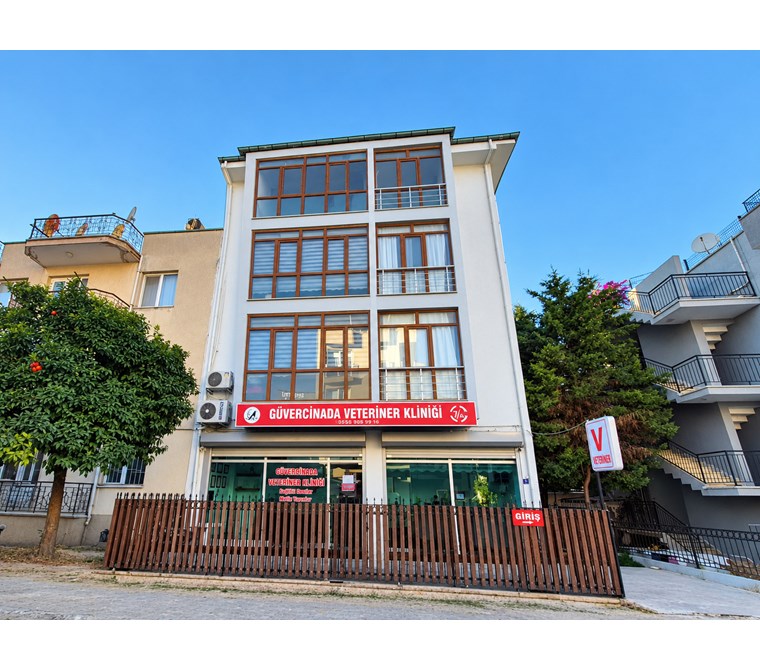 Kuşadası Şehir Merkezinde Kiralik 1+1 Daire - Ofis