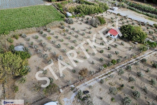 Property-photo