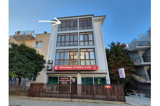 property-1