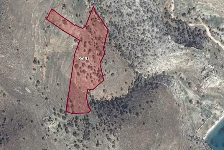 Müjgan emlaktan marmaris taşlıcada 30000 m2 satılık tarla