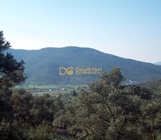 MUĞLA MİLAS KEMİKLER KÖYÜNDE SATILIK FIRSTA TARLA