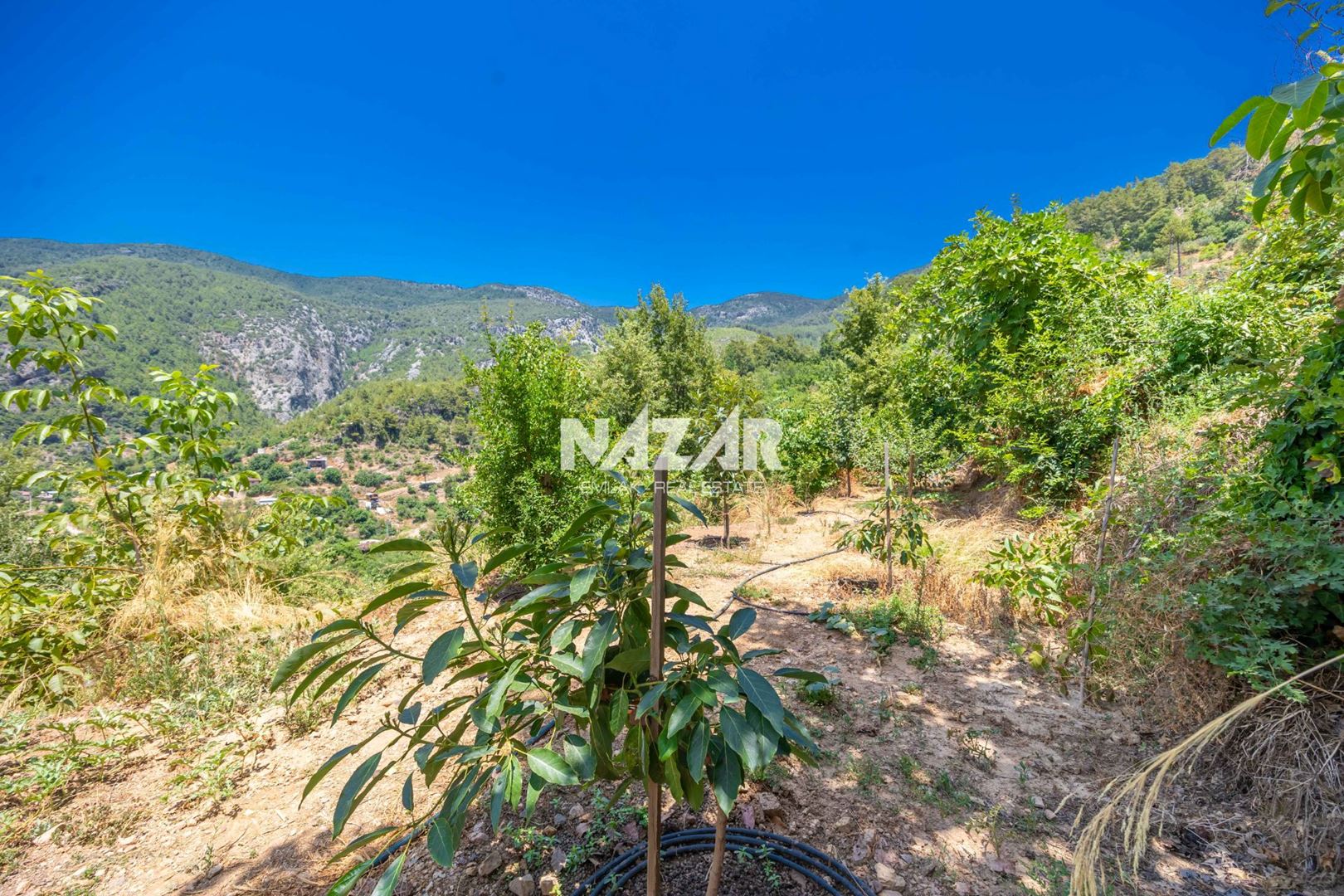 Property-photo