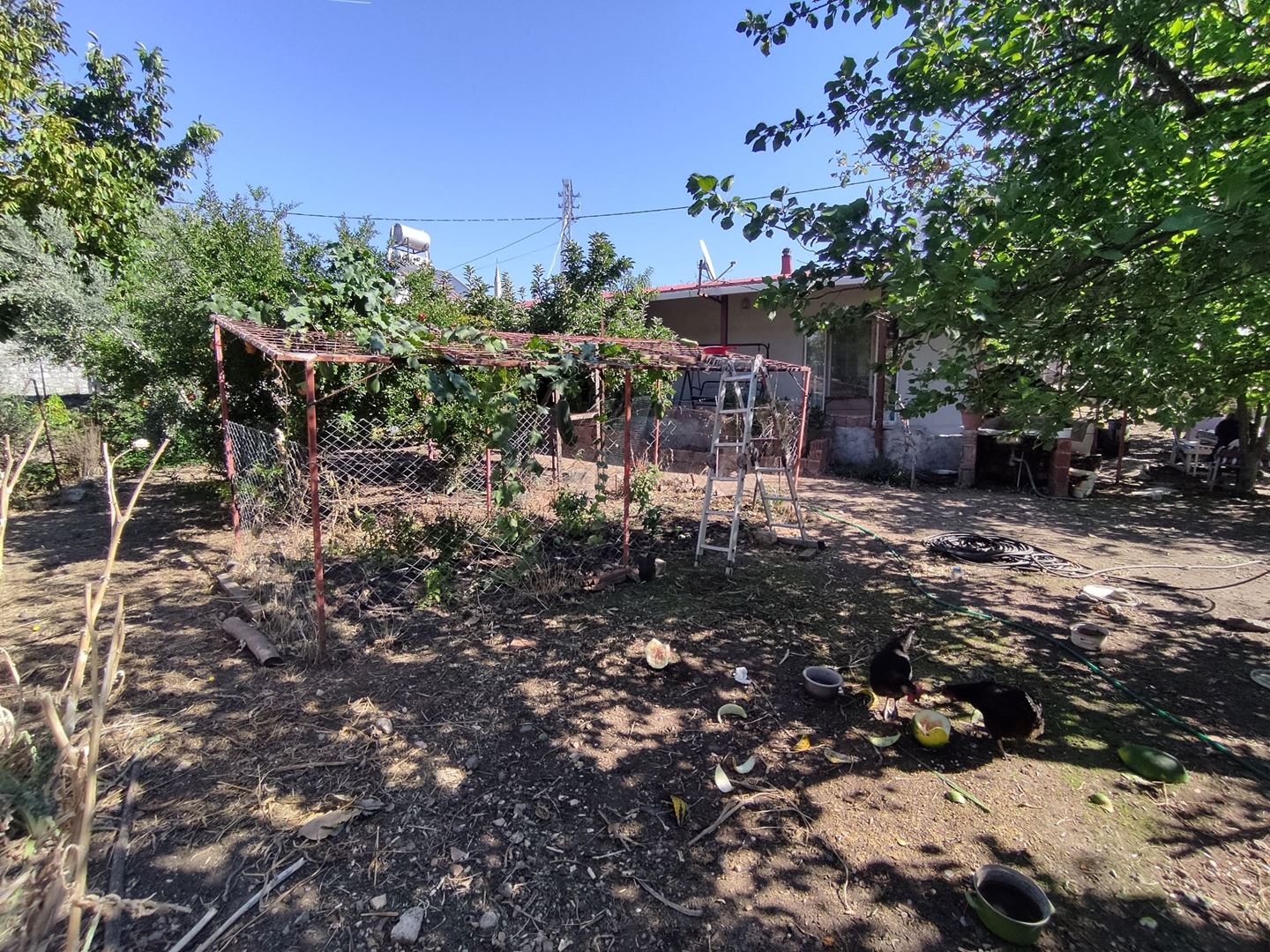 Property-photo