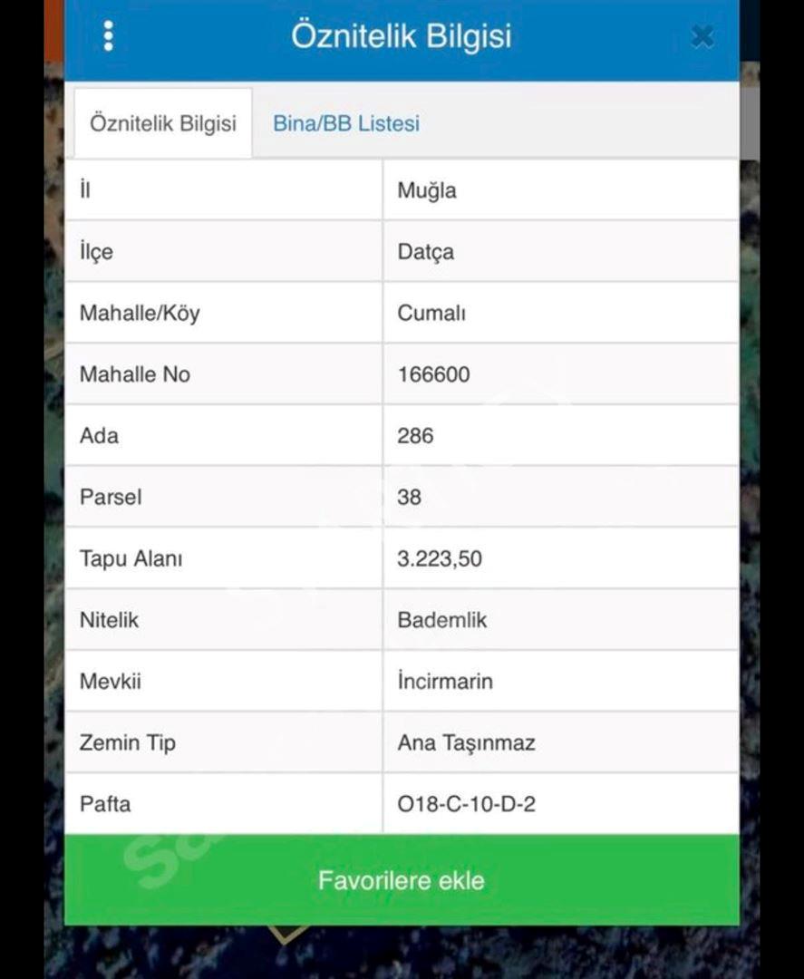 Datça Cumalı Mahallesi'nde Satılık Bademlik — kare 2