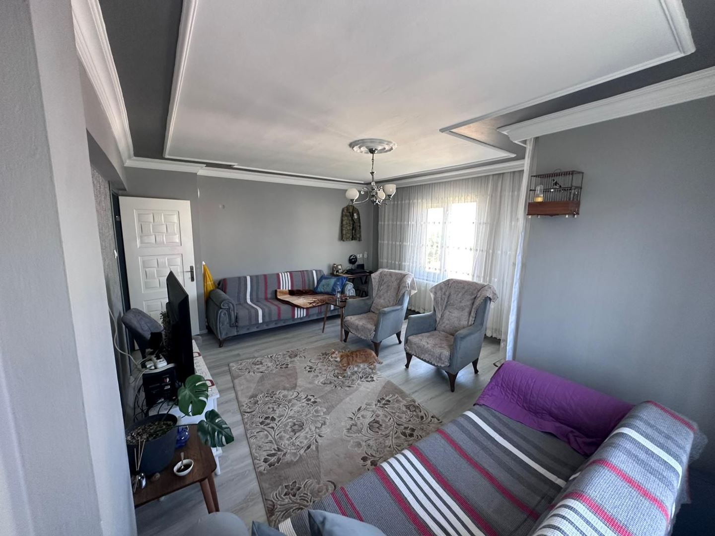 Property-photo