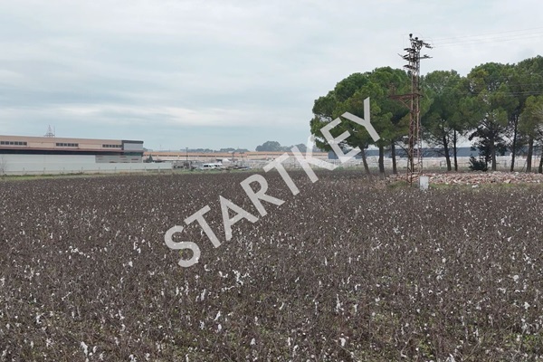 Property-photo