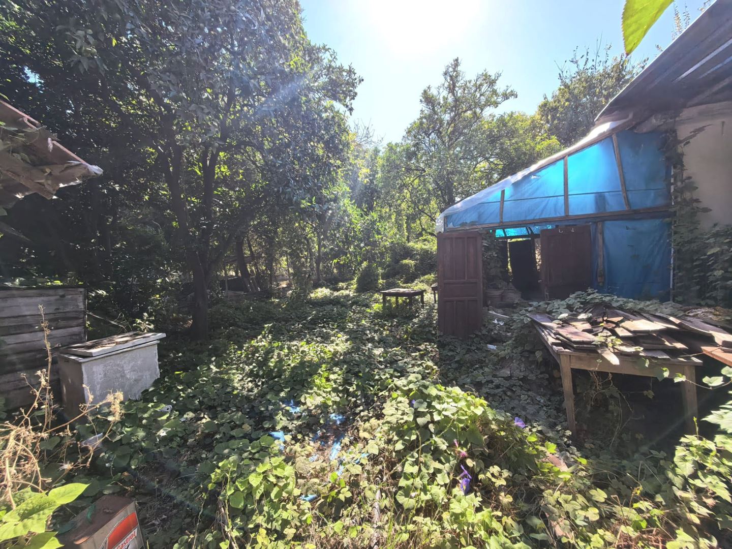 Property-photo