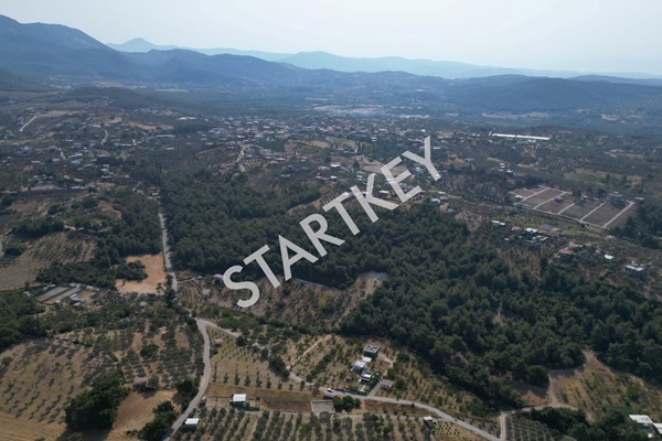 Property-photo