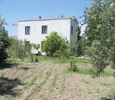 İZMİR URLADA SATILIK MİNİ ÇİFTLİK