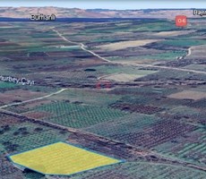 ÇANAKKALE LAPSEKİ UMURBEYDE SATILIK ERİK BAHÇESİ