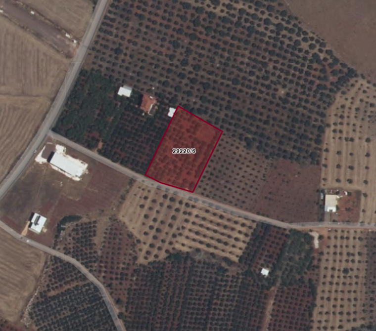 POYRAZ'DAN KİRİŞÇİLER'DE 4045 M2 SATILIK TARLA