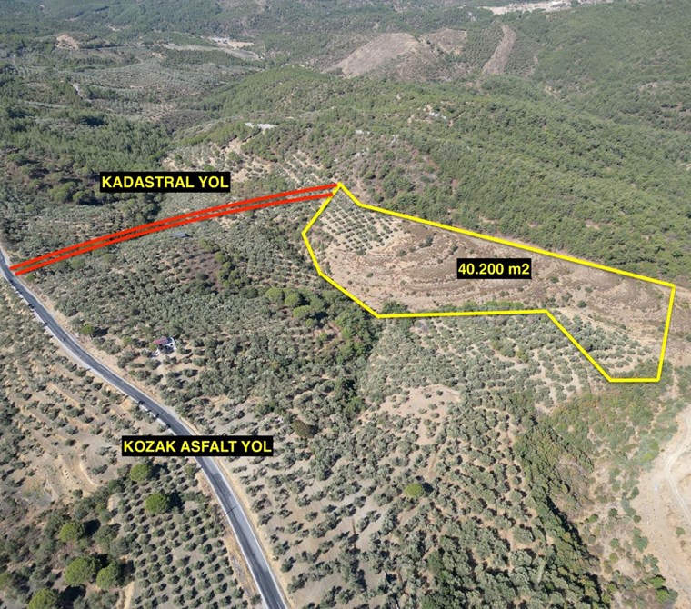 ALTIN EMLAKTAN AYVALIK BAĞYÜZÜNDE SATILIK 40.200 M2 PALAMUTLUK