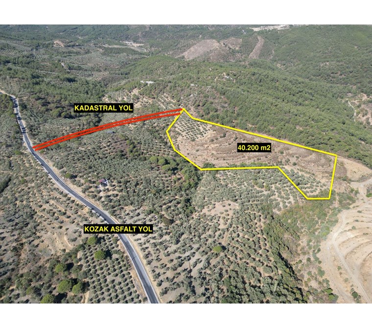 ALTIN EMLAKTAN AYVALIK BAĞYÜZÜNDE SATILIK 40.200 M2 PALAMUTLUK