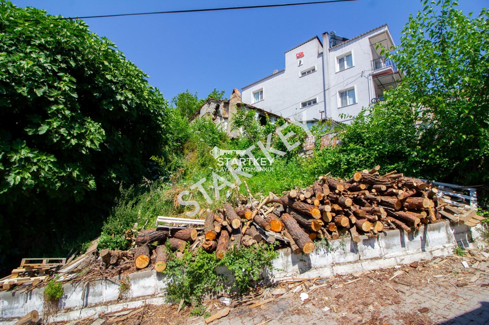 Property-photo