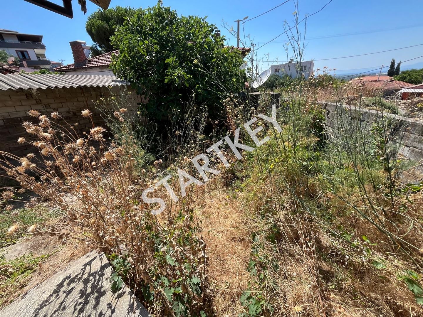 Property-photo