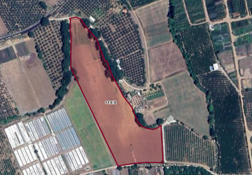 🌾 Orhangazi Muradiye Mahallesi’nde 35.486 m² Satılık Tarla