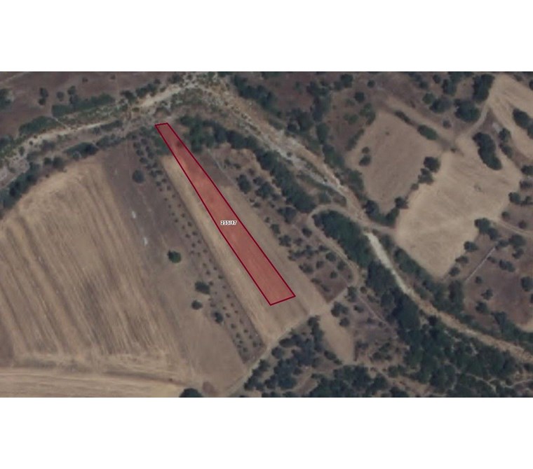 POYRAZ'DAN DÖŞEMEALTI'NDA 1102M2 SATILIK ARSA