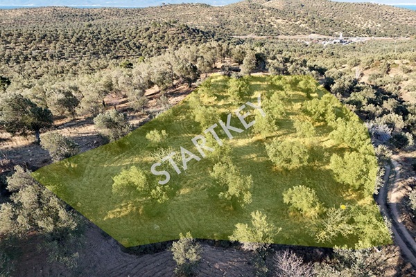 Property-photo