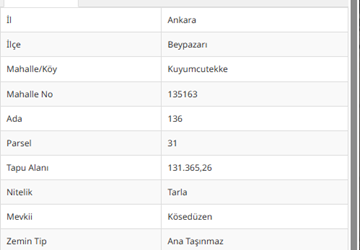ALTIN EMLAK BEYPAZARI PRESTİJ'DEN YATIRIMLIK KUPON TARLA