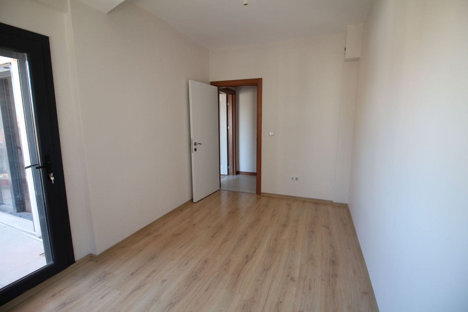 20376533