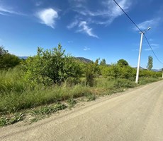 MUĞLA ORTACA OKÇULAR MH 6600M2 TARLA