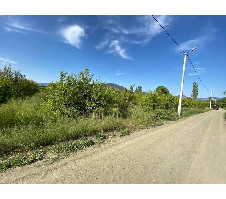 MUĞLA ORTACA OKÇULAR MH 6600M2 TARLA