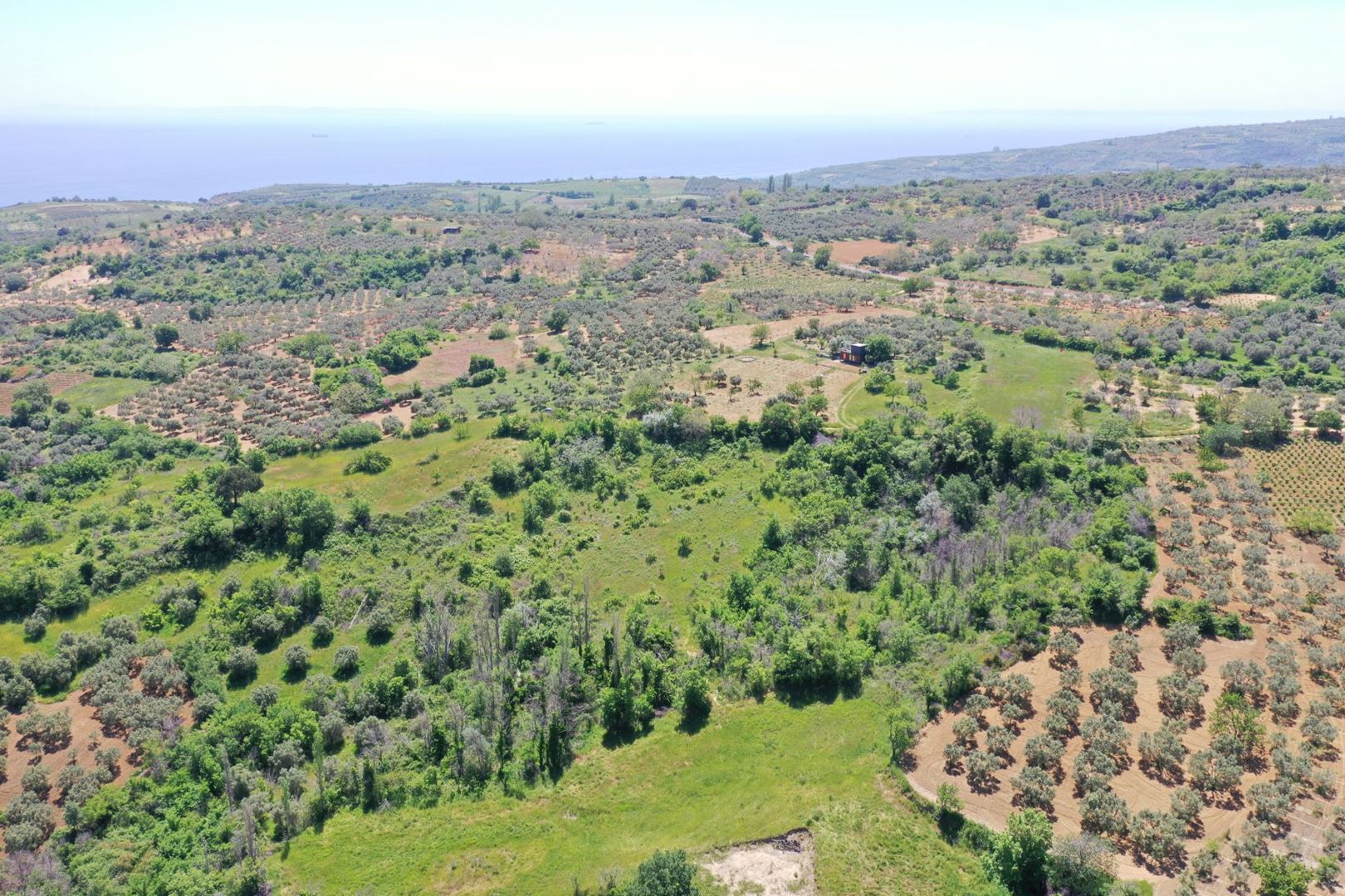 Property-photo