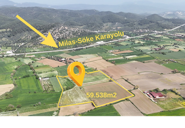 Selimiye'de Milas-Söke Karayoluna Yakın SATILIK 60 Dönüm Tarla