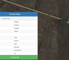 Eskişehir-Sivrihisar Ana Yola Cepheli Satılık Tarla
