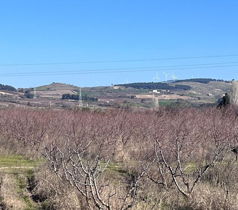 ÇANAKKALE MERKEZ MUSAKÖYDE ANAYOLA 60 M SATILIK TARLA