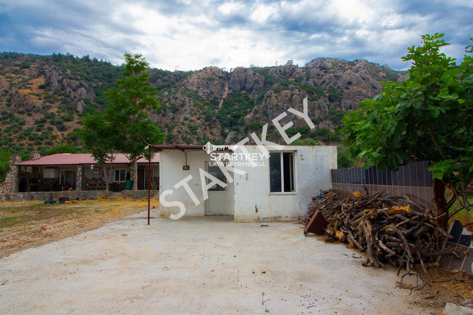 Property-photo