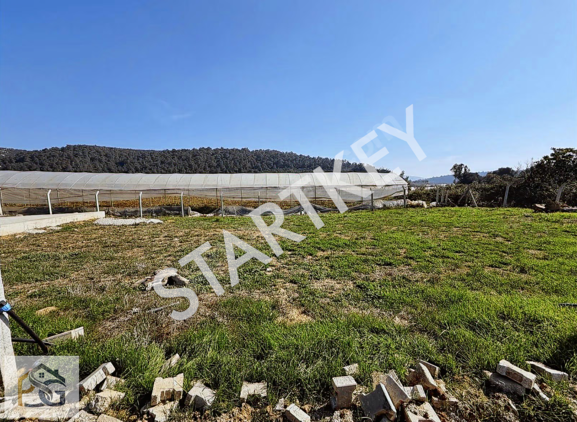 Property-photo