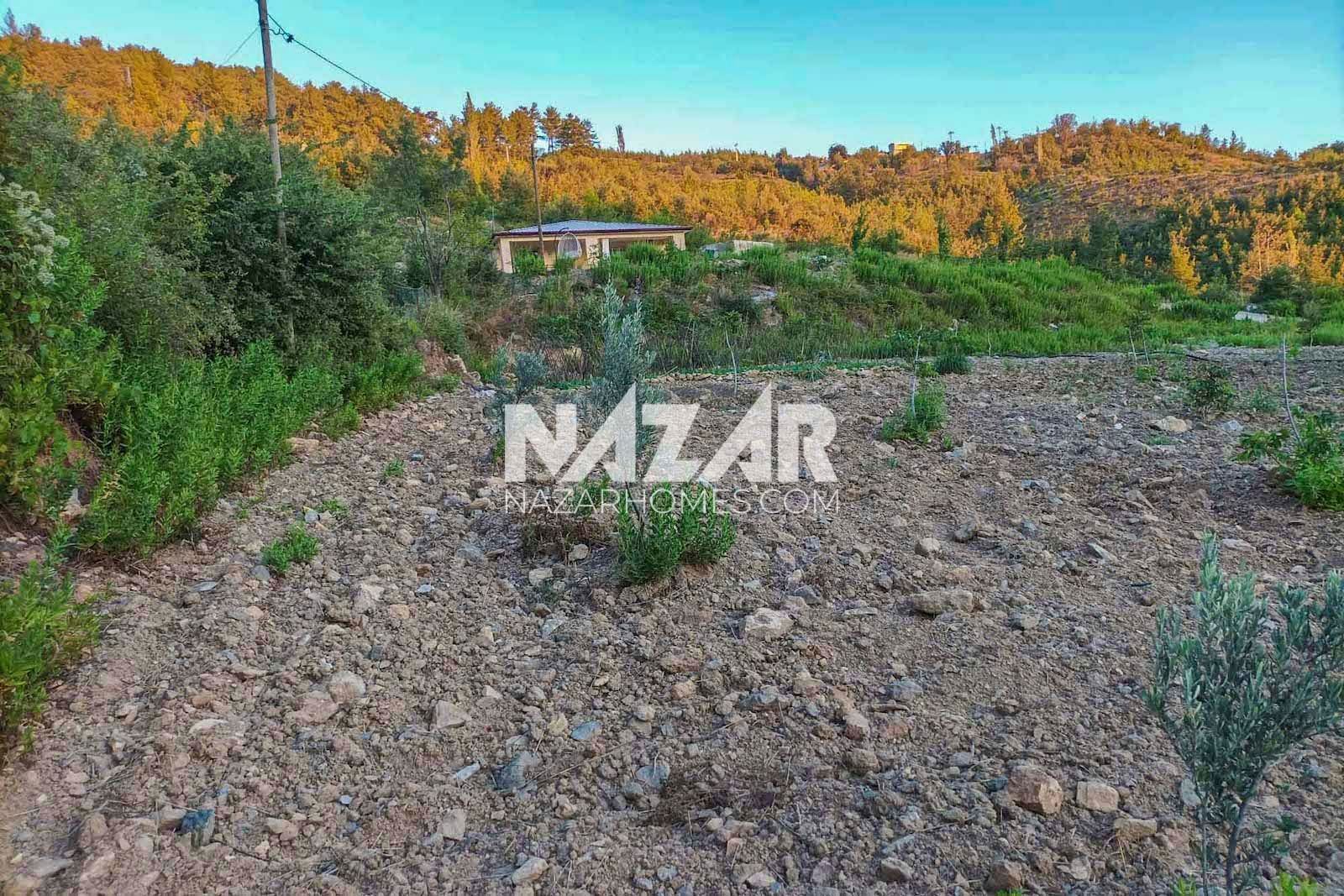 Property-photo