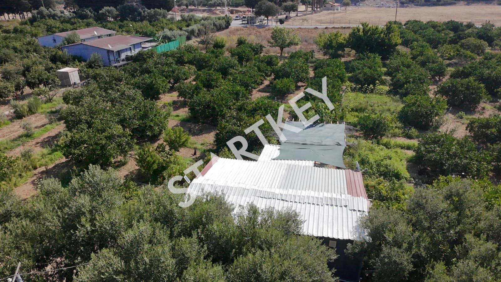 Property-photo