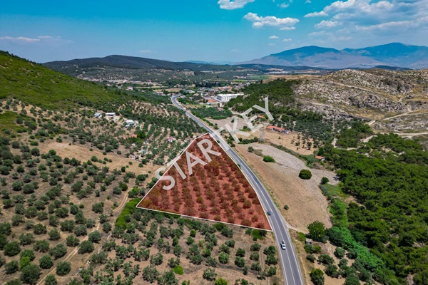 Property-photo