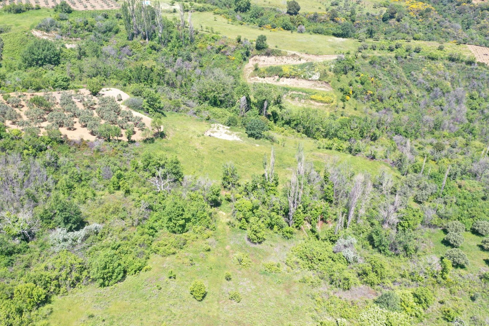 Property-photo