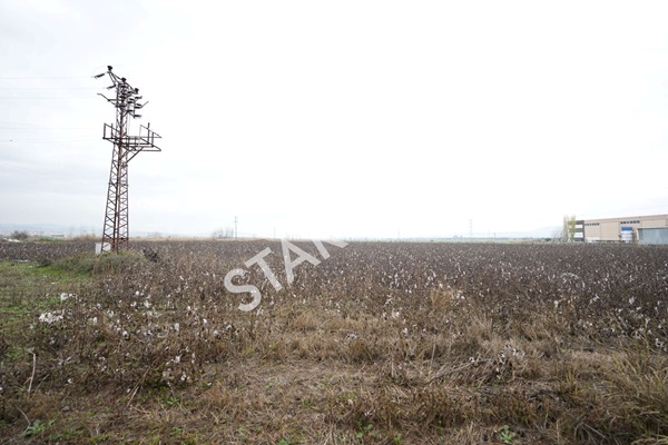 Property-photo