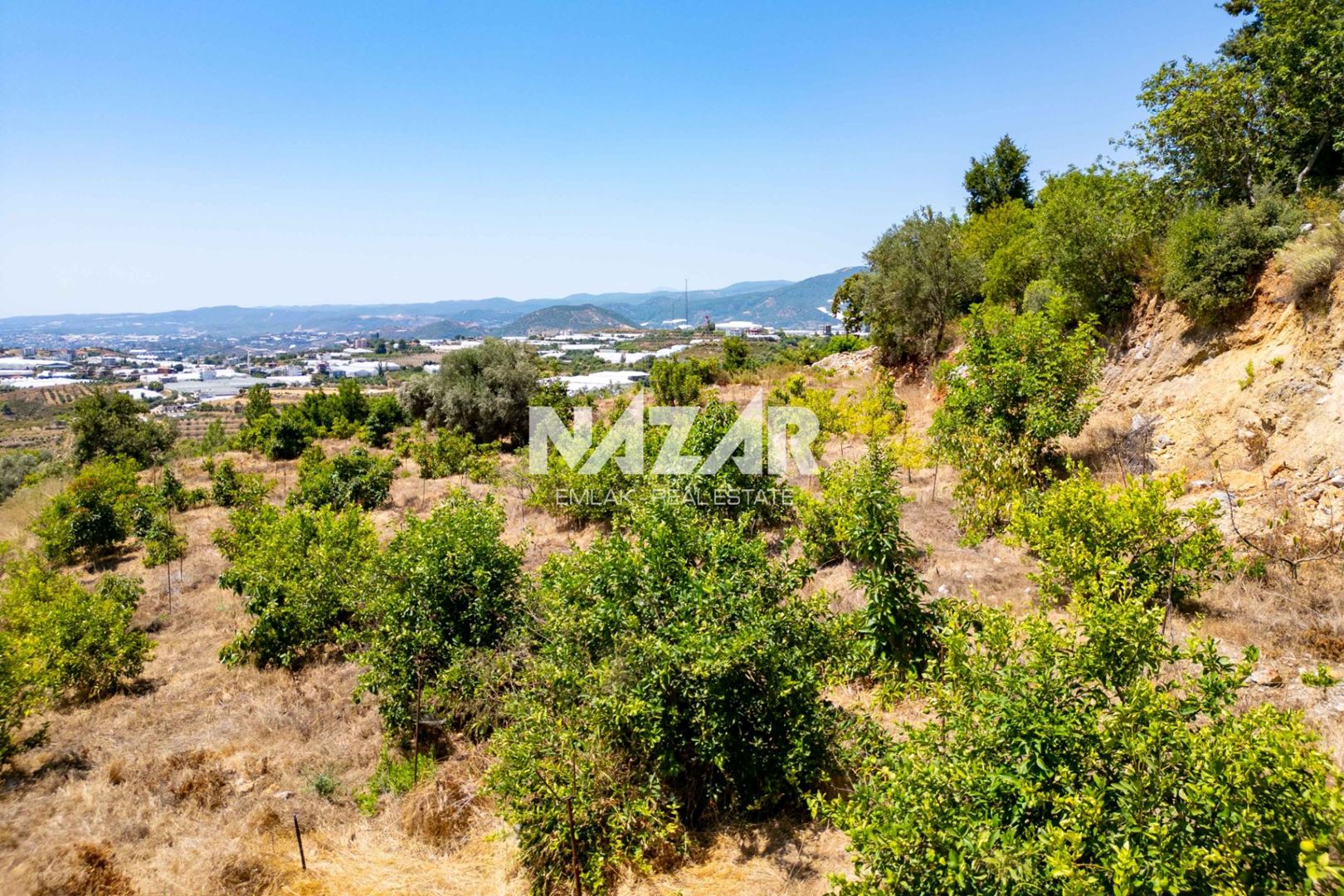 Property-photo