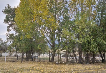 Seydişehir Merkeze Yaklaşık 1,5 km Mesafede Satılık İmarlı Arsa