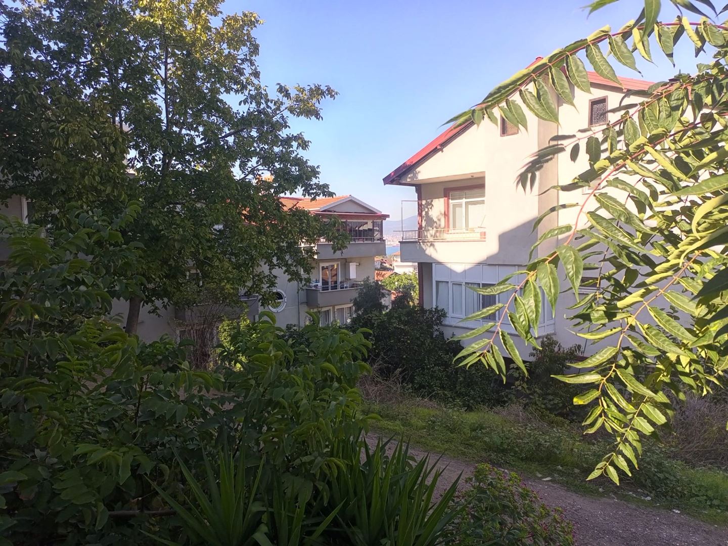 Property-photo