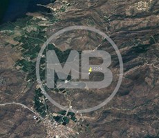 MUĞLA MİLAS BAFA DA KÖYE YAKIN KONUMDA 1757 M2 ZEYTİNLİK