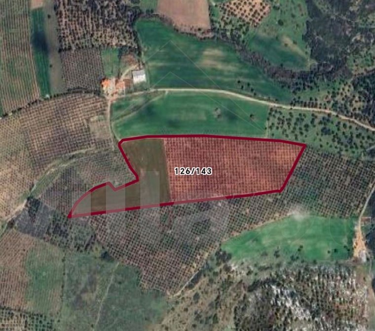 VİLLAİST'TEN ÇANAKKALE EZİNE ALEMŞAH'TA SATILIK 50 DÖNÜM TARLA