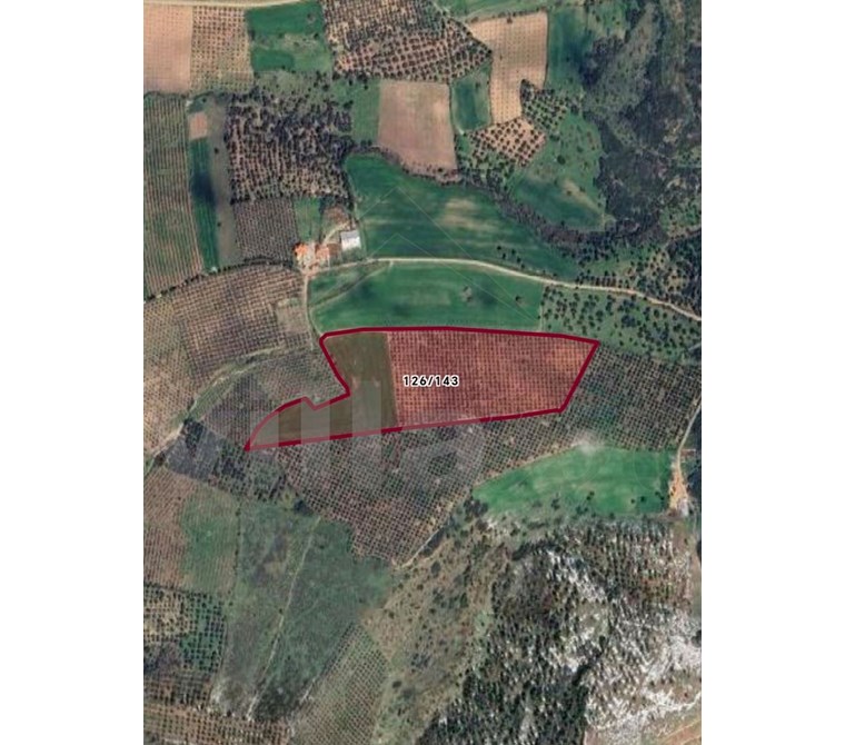 VİLLAİST'TEN ÇANAKKALE EZİNE ALEMŞAH'TA SATILIK 50 DÖNÜM TARLA