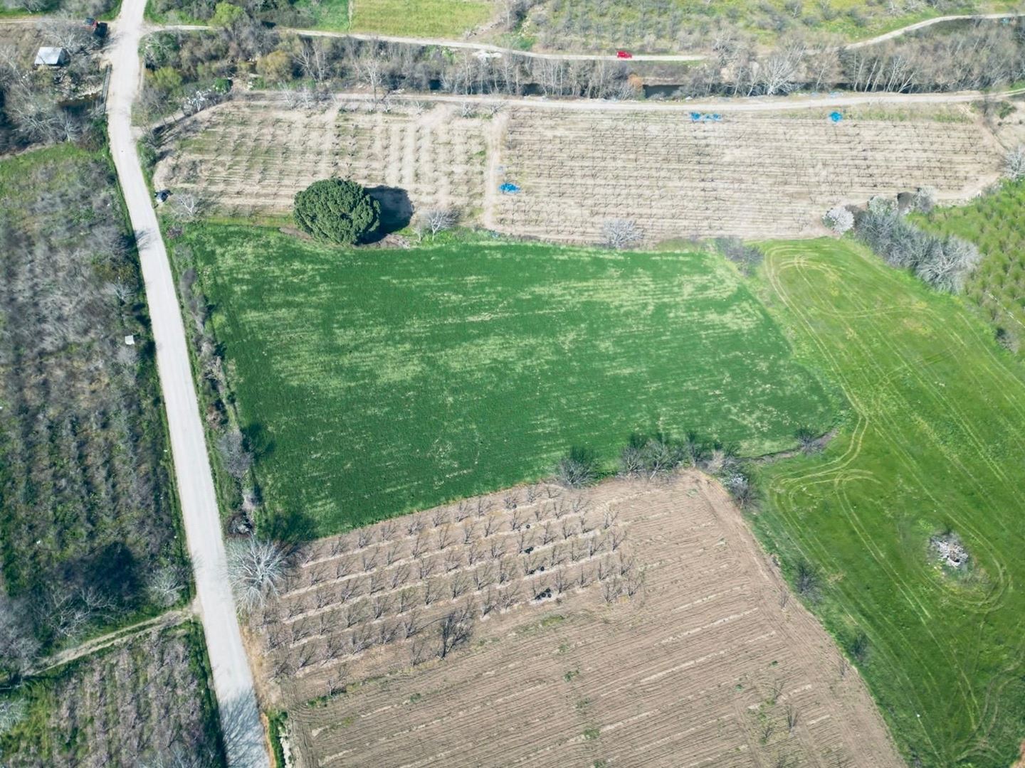 UMURBEYDE TARIMA ELVERİŞLİ ARAZİ — Çanakkale gayrimenkul ilan görseli 3 / 6, Aevum Troia