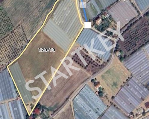 Property-photo